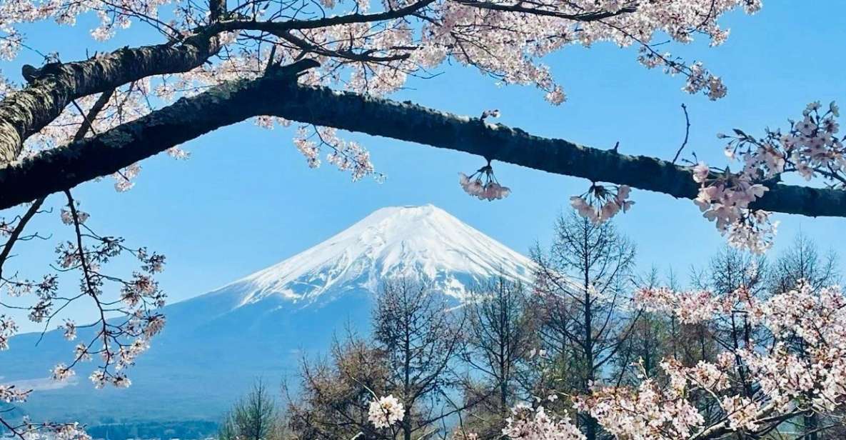 Full Guided One Day Trip for Mount Fuji Japan - Exclusions