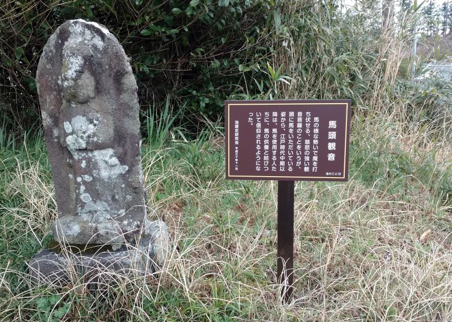 Izu Peninsula: Ike Village Experience - Accessibility Details