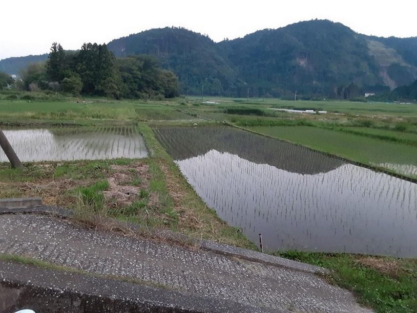 Izu Peninsula: Ike Village Experience - Directions for Train Customers