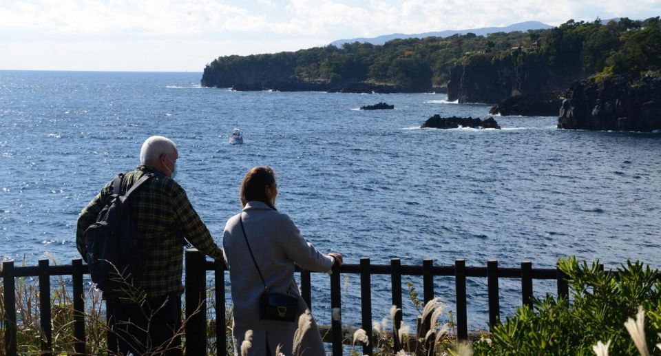 Izu Peninsula: Jogasaki Coast Experience - Tour Inclusions