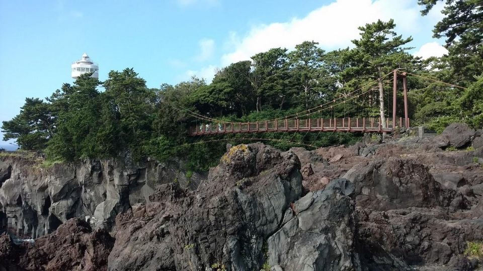 Izu Peninsula: Jogasaki Coast Experience - Key Takeaways