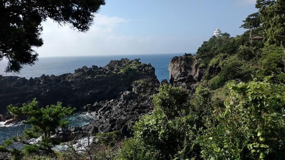 Izu Peninsula: Jogasaki Coast Experience - Not Suitable For