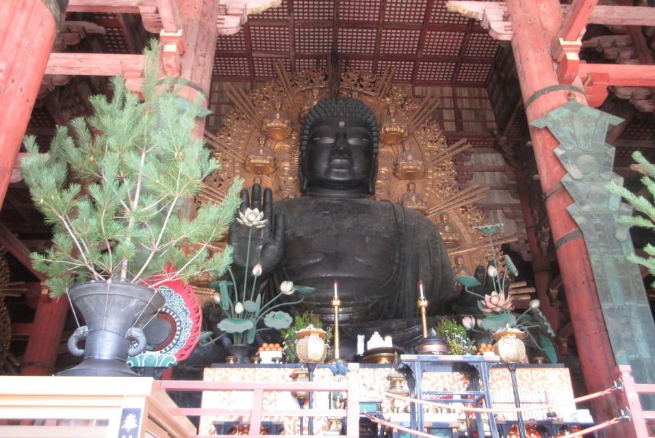 Nara: Giant Buddha, Free Deer in the Park (Italian Guide) - Inclusions