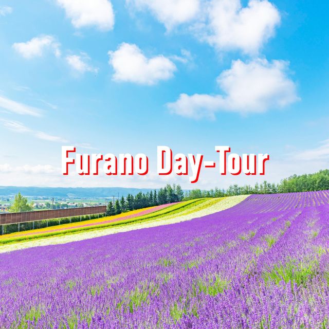 From Sapporo: 10-hour Customized Private Tour to Furano - Pricing Details