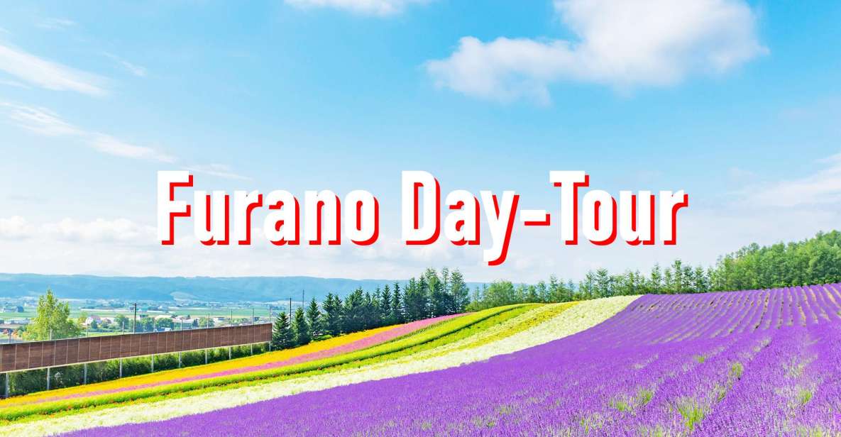 From Sapporo: 10-hour Customized Private Tour to Furano - Tour Duration