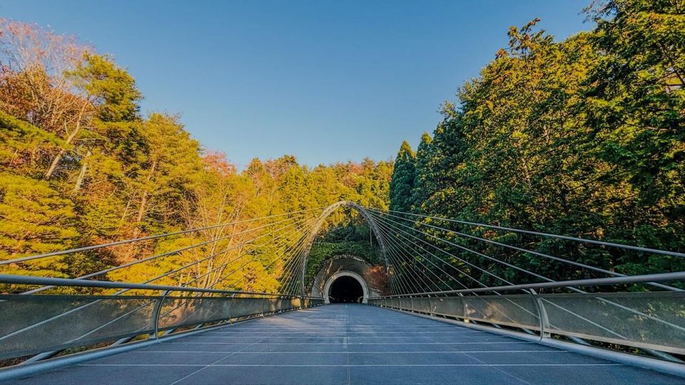 Shiga: Miho Museum, Lake Biwa & Waterbird Shrine Day Trip - Inclusions and Exclusions