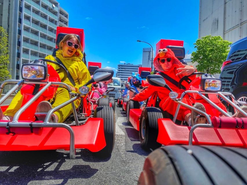 Tokyo: Guided Street Go-Karting Tour in Tokyo Bay - Experience Description