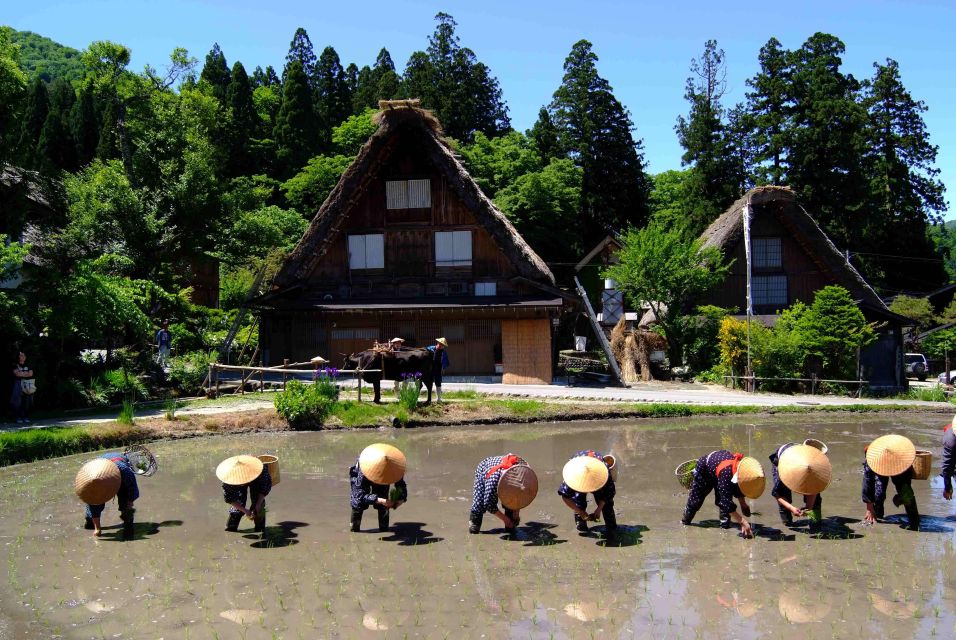 From Nagoya: Shirakawa-Go Bus Ticket With Hida Beef Lunch - Conclusion