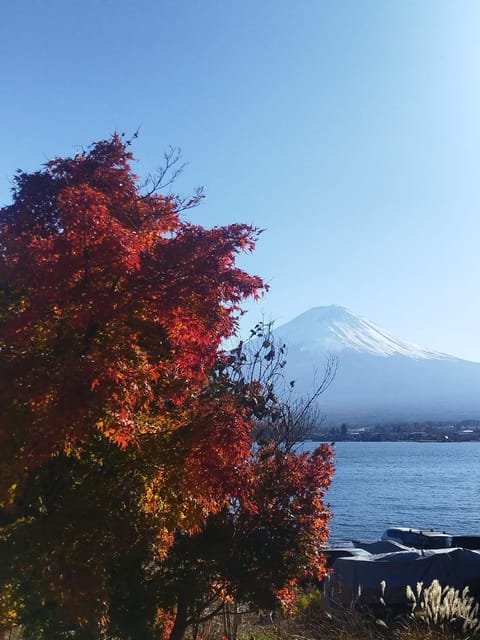 Mount Fuji-Lake Kawaguchi Private Tour With Bilingual Driver - Languages and Pickup Information