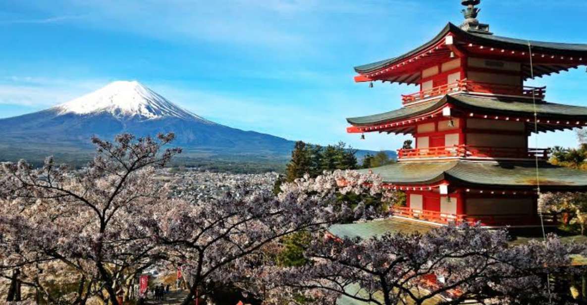 From Tokyo: Customizable Mount Fuji Full-Day Private Tour - Tour Experience