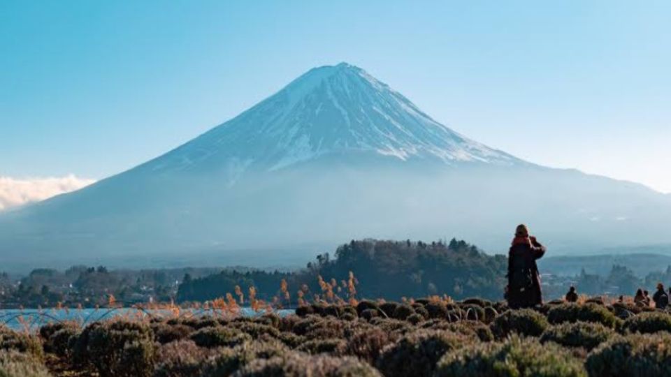 From Tokyo: Customizable Mount Fuji Full-Day Private Tour - Booking Information