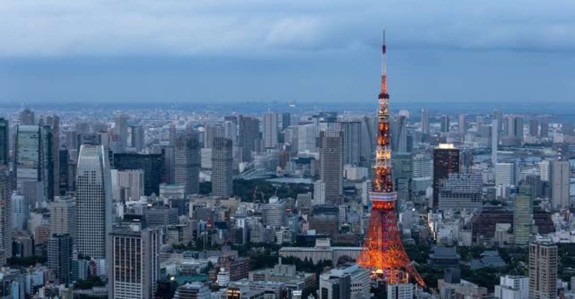 Tokyo: 1 Day Private Customisable City Tour by Car and Van - Reviews