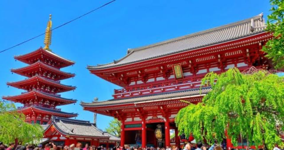 Tokyo: 1 Day Private Customisable City Tour by Car and Van - Conclusion