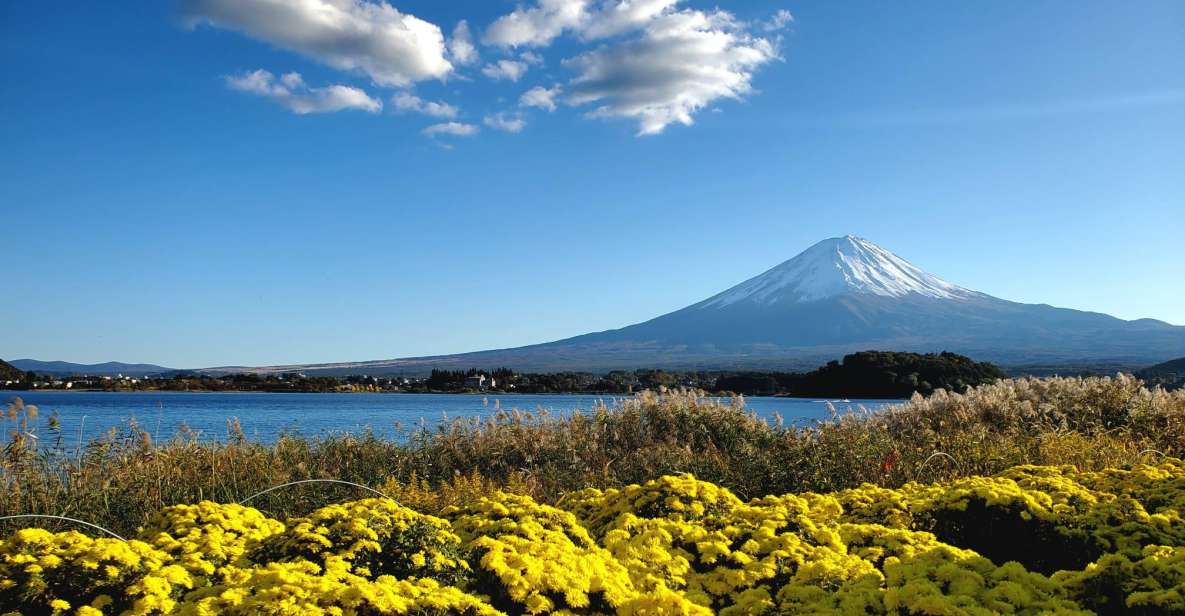 Mt Fuji: Full Day Private Tour With English Guide - Full Description