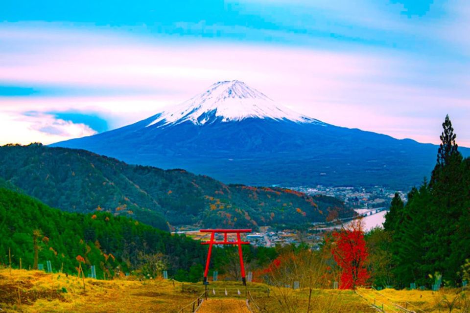 From Tokyo: Private Mount Fuji & Hakone Full-Day Guided Trip - Important Information