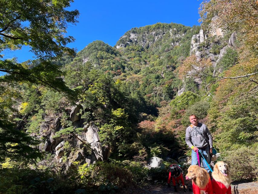 Kamakura Half Day Tour With a Local - Booking Information