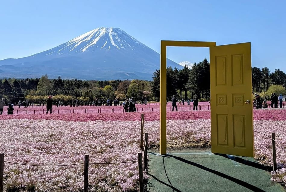 Tokyo: Mount Fuji Customizable Private Tour by Car - Booking Information