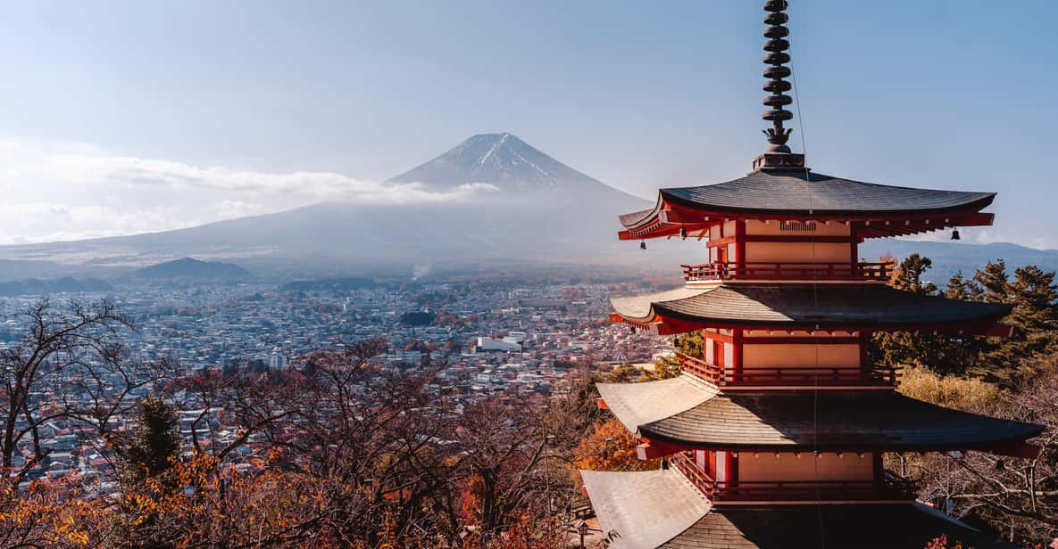 Tokyo: Mount Fuji Customizable Private Tour by Car - Customer Reviews