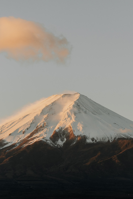 Tokyo: Mount Fuji Customizable Private Tour by Car - Tour Guide Information