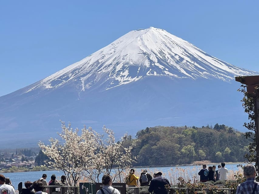 Tokyo: Mount Fuji Customizable Private Tour by Car - Reasons to Visit Mount Fuji