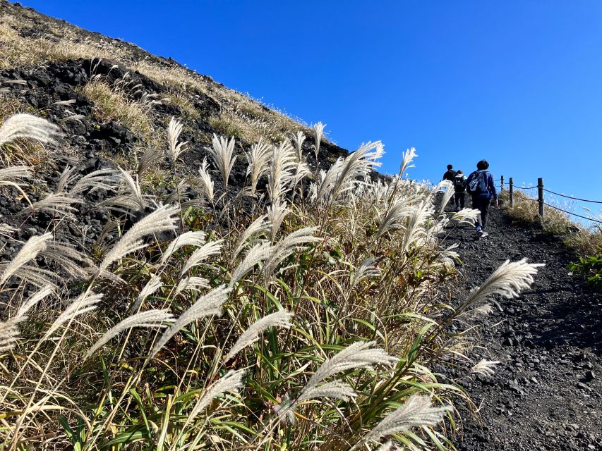 Feel the Volcano by Trekking at Mt.Mihara - Experience Itinerary