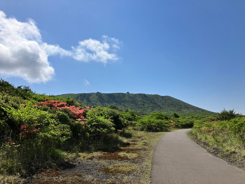 Feel the Volcano by Trekking at Mt.Mihara - Additional Insights