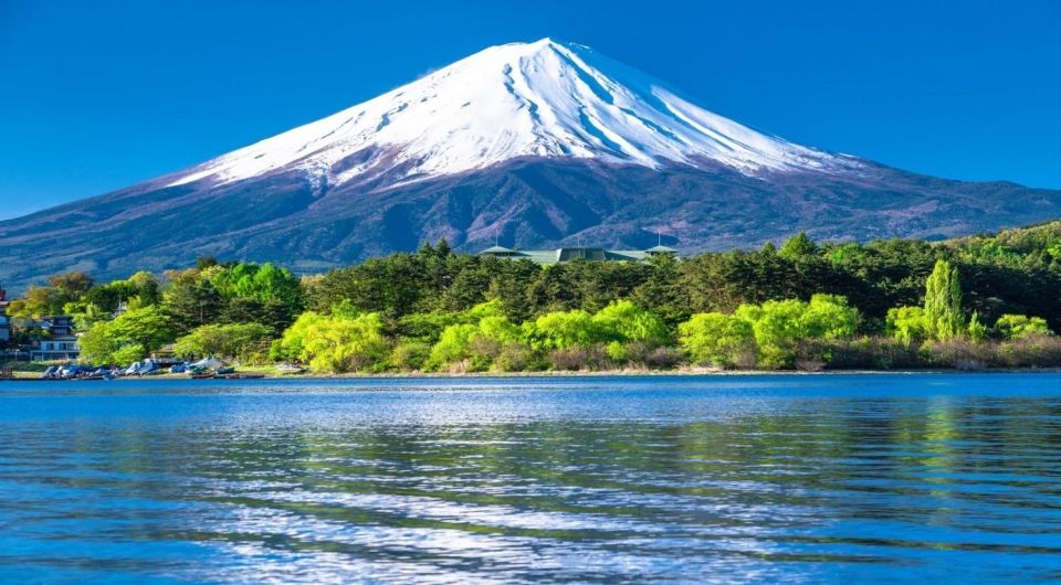 Mount Fuji Panoramic View & Shopping Day Tour - Inclusions