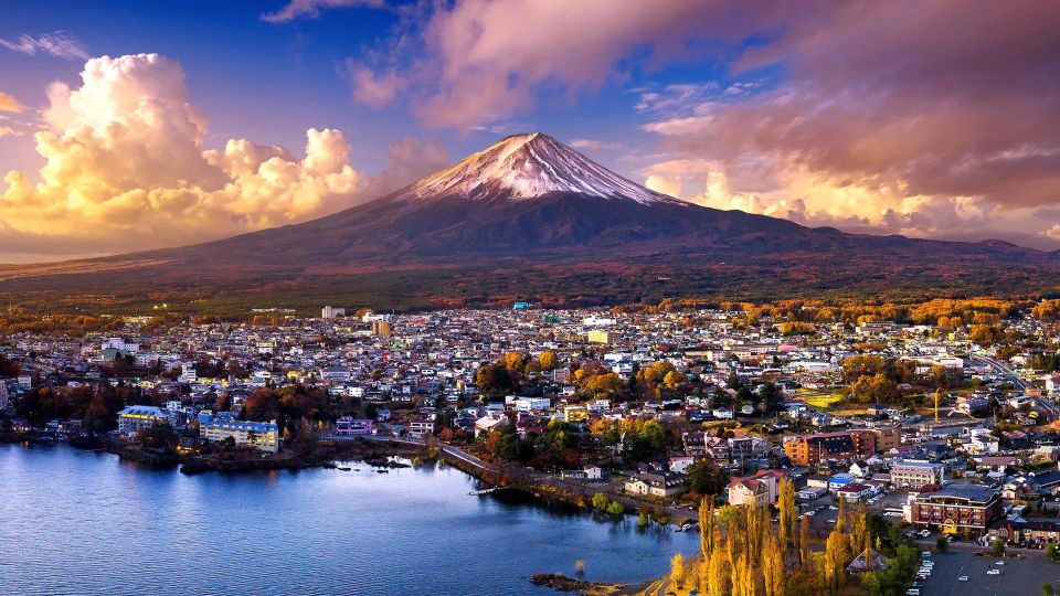 Mount Fuji Panoramic View & Shopping Day Tour - Conclusion