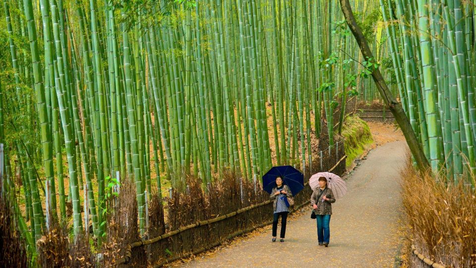 From Osaka: Fushimi Inari Shrine, Kyoto, and Nara Day Trip - Key Takeaways