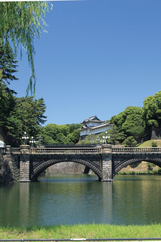 Tokyo : Full-Day Bus Tour W/ Buffet Lunch & Tea Ceremony - Experience