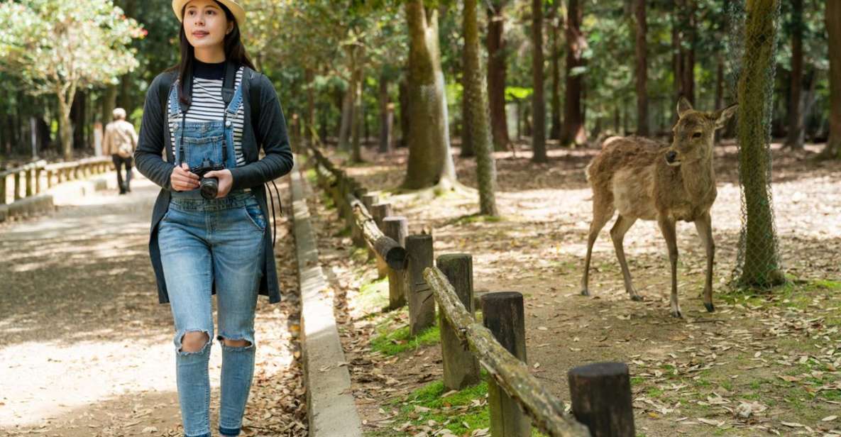 Nara's Historical Wonders: A Journey Through Time and Nature - Interacting With Naras Deer