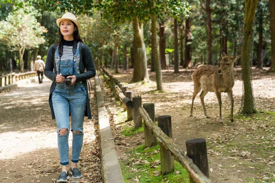 Nara's Historical Wonders: A Journey Through Time and Nature - Key Takeaways