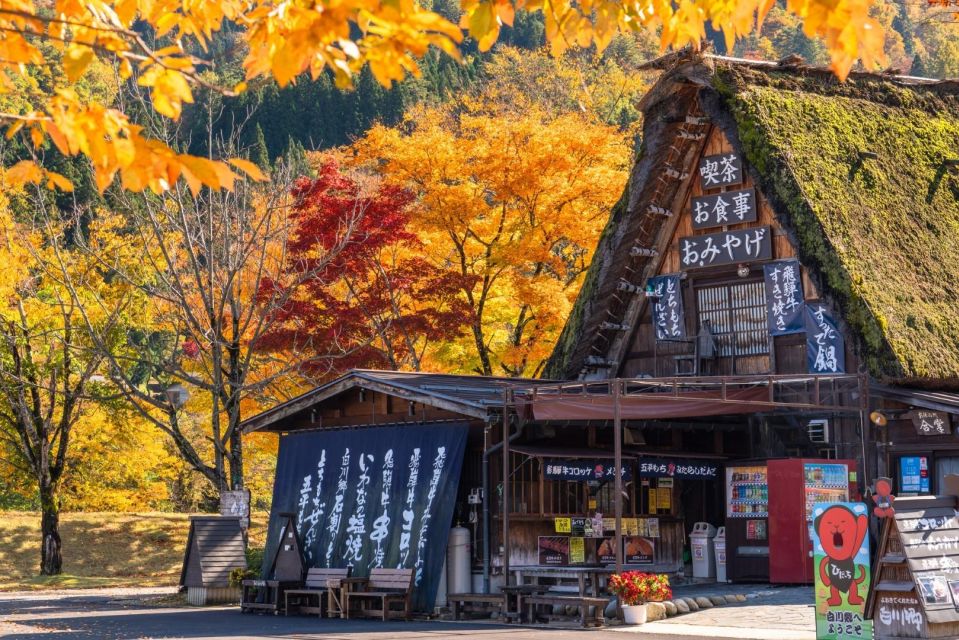 From Toyama: Private Day Tour to Shirakawago & Takayama - Booking Information