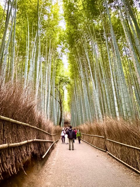 Kyoto: Fully Customizable Half Day Tour in the Old Capital - Price and Inclusions