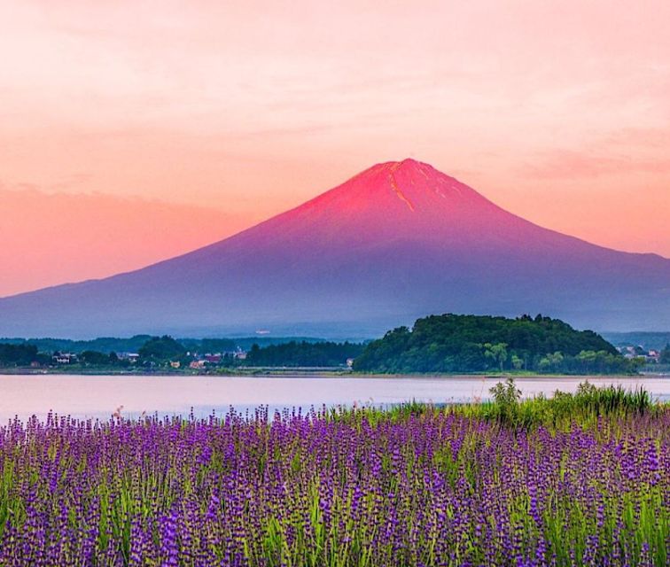 4-Day Private MT Fuji Tokyo Kamakura Hakone Nikko Yokohama - Customization Options