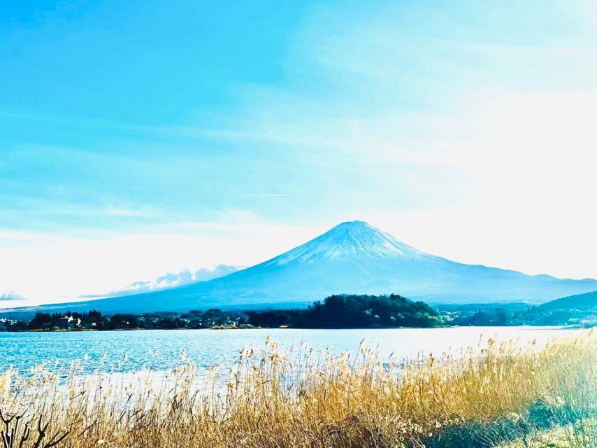 From Tokyo: Guided Day Trip to Kawaguchi Lake and Mt. Fuji - Tour Highlights