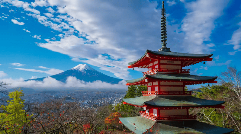 From Tokyo: Mt. Fuji Sightseeing Private Day Tour - Customer Reviews