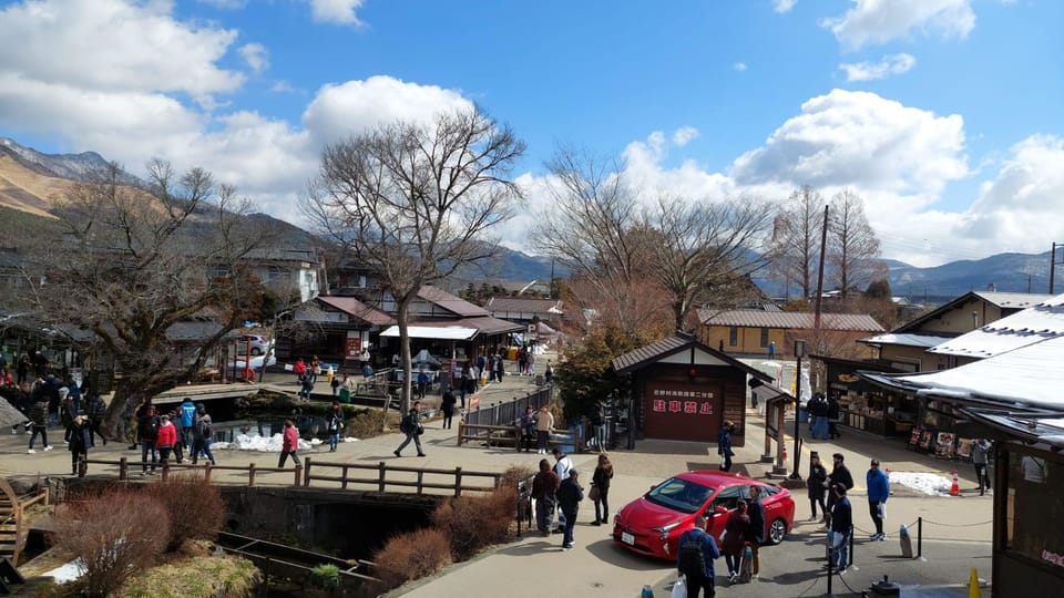 From Tokyo: Mt. Fuji Sightseeing Private Day Tour - Included Services