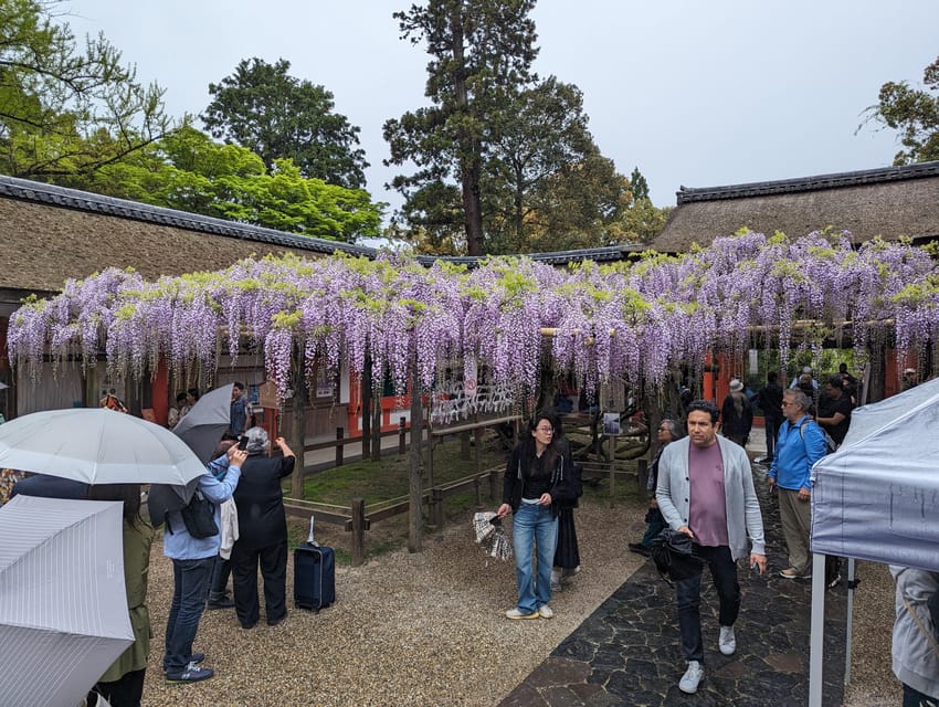 Tokyo: Personalized Half-day Tour - Inclusions