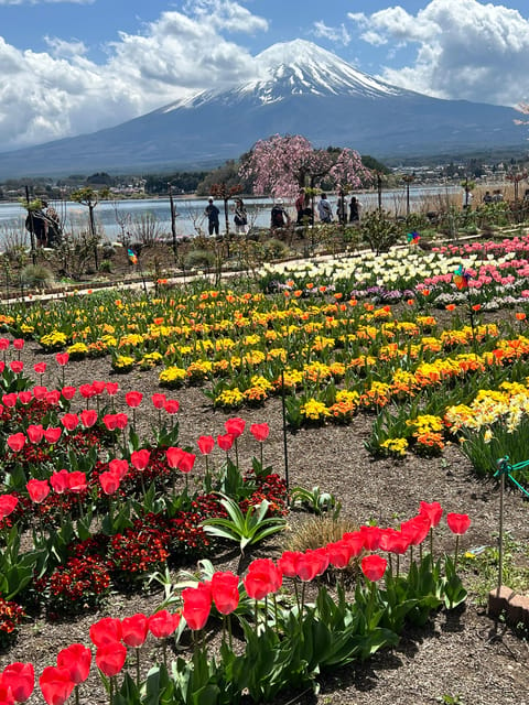 From Tokyo/Yokohama: Private Day Trip to Mt Fuji and Hakone - Important Information