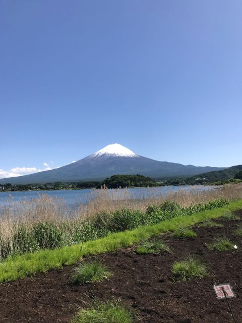 Tokyo: Mt Fuji Area Guided Tour With Traditional Lunch - Meeting Points and Directions