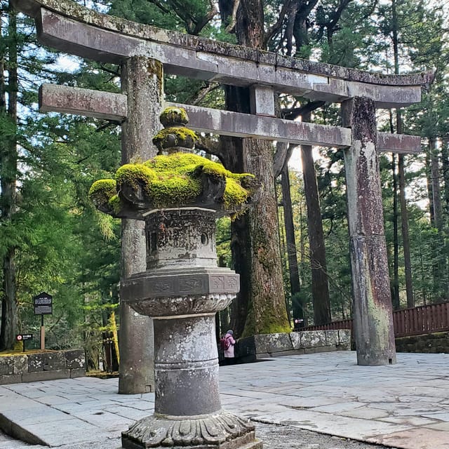 Nikko, Tochigi: Full Day Private Nature Tour W English Guide - Itinerary Overview