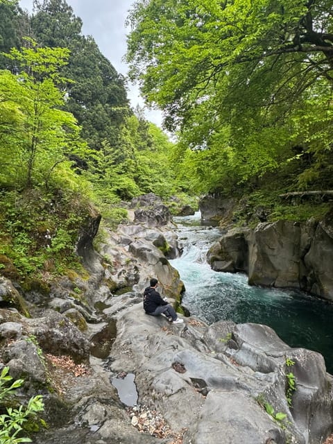 Full-Day Private Tour in Nikko Japan English Speaking Driver - Customer Review