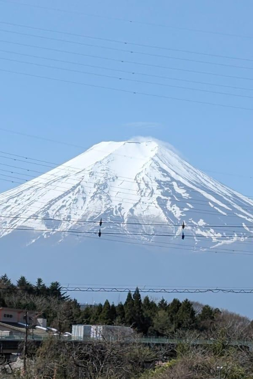 Mt Fuji & Hakone: Sightseeing Private Day Tour With Guide - Frequently Asked Questions