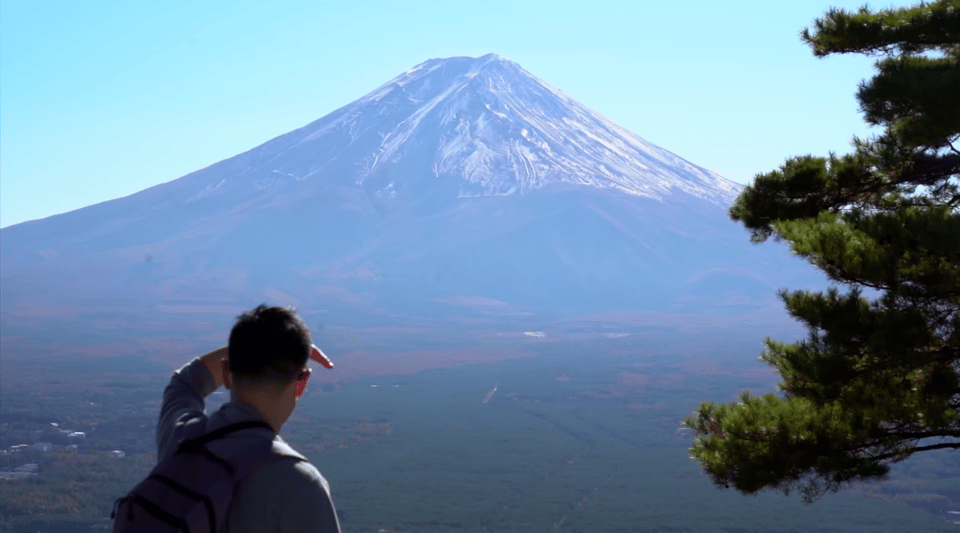 Mt Fuji & Hakone: Sightseeing Private Day Tour With Guide - Experience Highlights