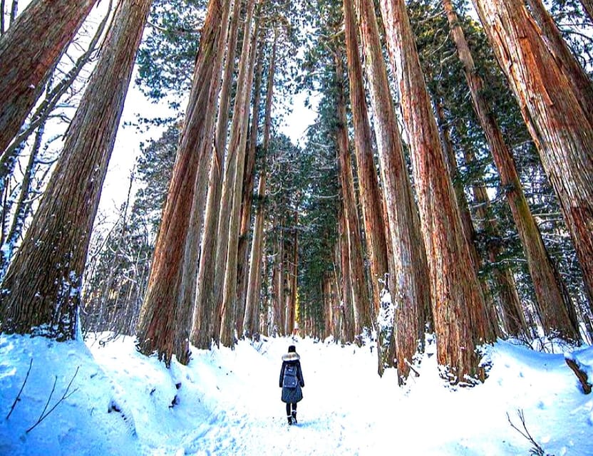 Private Snow Monkeys Zenkoji Temple Sightseeing Day Trip - Customer Reviews