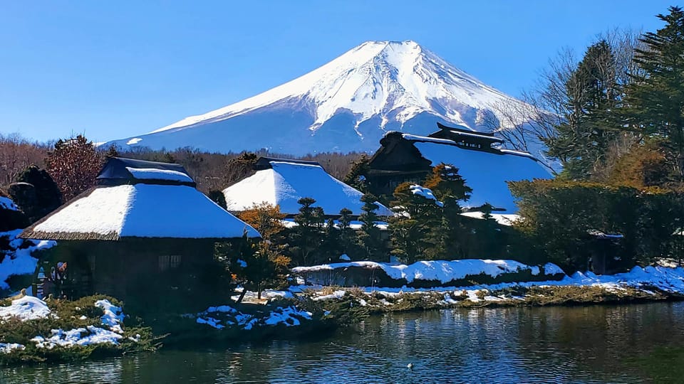 Mt. Fuji and Hakone: Full Day Private Tour W English Guide - Tour Features and Highlights