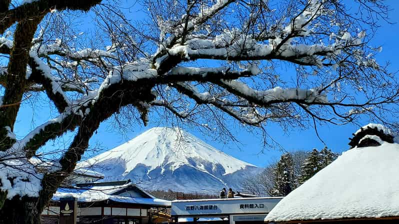 Mt. Fuji and Hakone: Full Day Private Tour W English Guide - Itinerary Overview