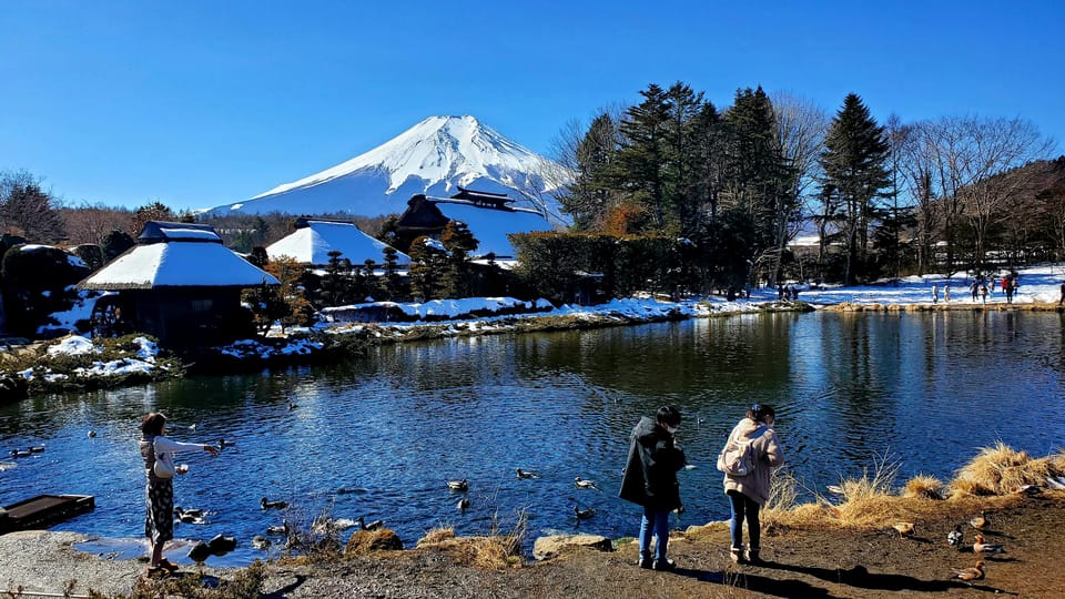 Mt. Fuji and Hakone: Full Day Private Tour W English Guide - Important Information for Participants