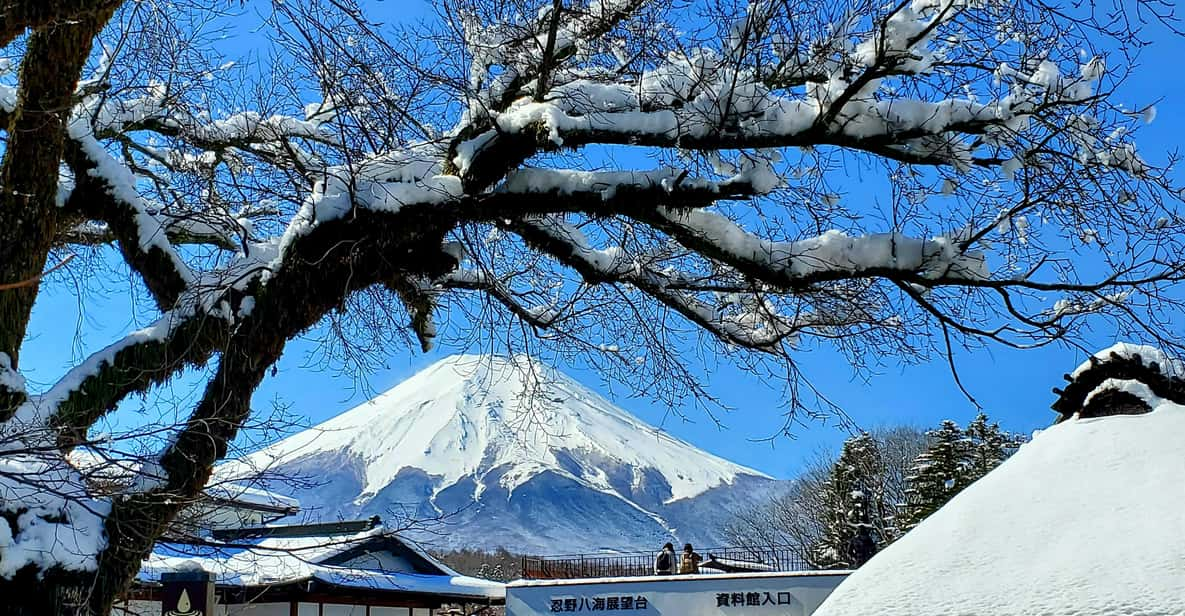 Mt. Fuji and Hakone: Full Day Private Tour W English Guide - Frequently Asked Questions